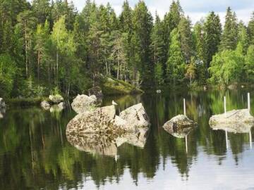 Фото номера Дом для отпуска Дома для отпуска Holiday Home Pynnölänniemi г. Konnevesi 40