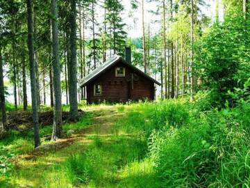 Фото номера Дом для отпуска Дома для отпуска Holiday Home Pynnölänniemi г. Konnevesi 11